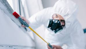 Best Termite Inspection and Treatment  in Woodburn, IN